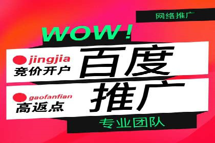 百度竞价公司案例分析：优化策略全解析